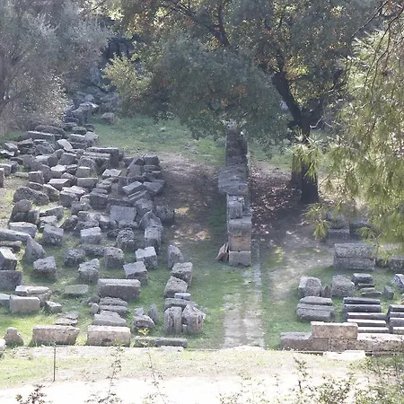 The Olive Farm * Kato Samikon