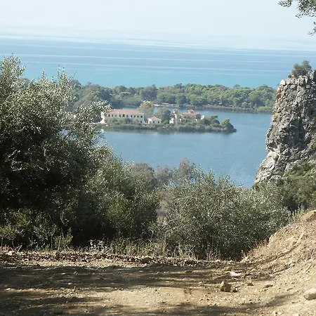The Olive Farm * Kato Samikon