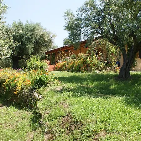 The Olive Farm Kato Samikon