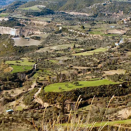 The Olive Farm Villa
