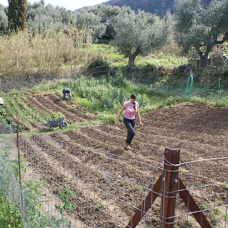 The Olive Farm Villa Kato Samikon