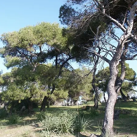 The Olive Farm Villa