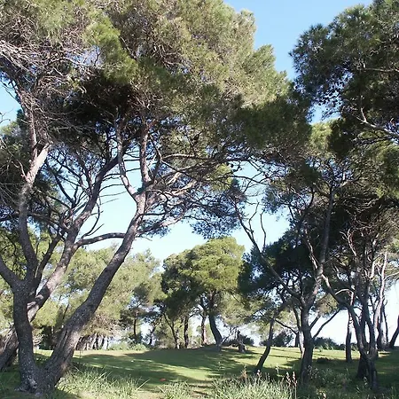 The Olive Farm Villa