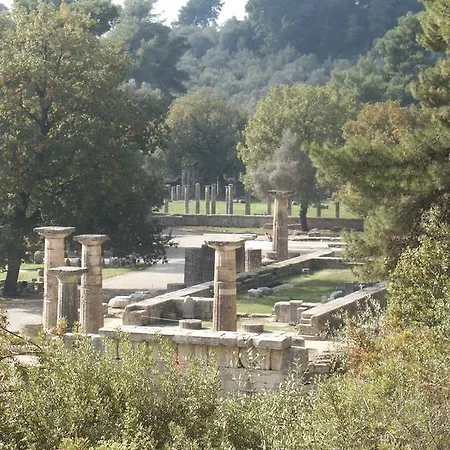 The Olive Farm *