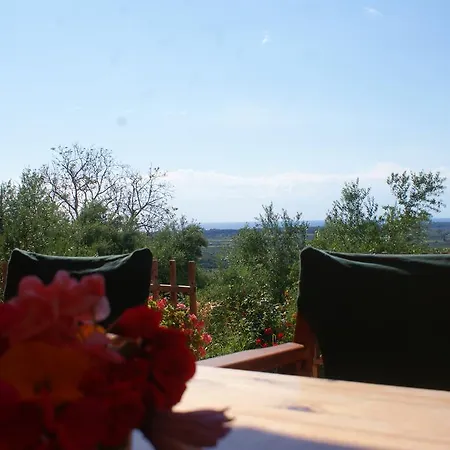 Villa The Olive Farm Kato Samikon